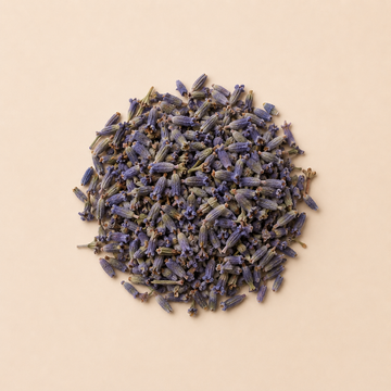 Dried Lavender