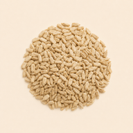 Sunflower seeds