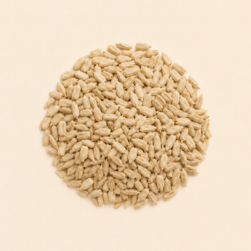 Sunflower Seeds